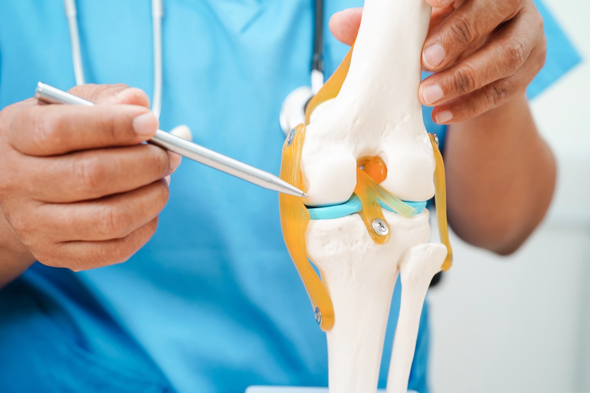 Doctor pointing to the joint surface on a knee model